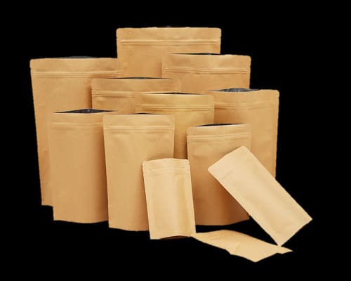 Standard Kraft Paper Bag-Honest